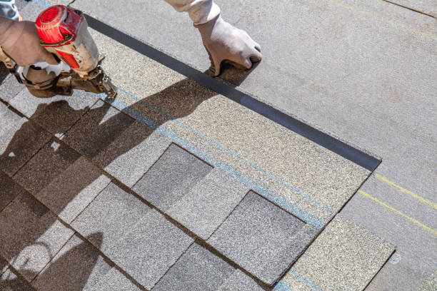 Best Metal Roofing Contractor  in Long View, NC